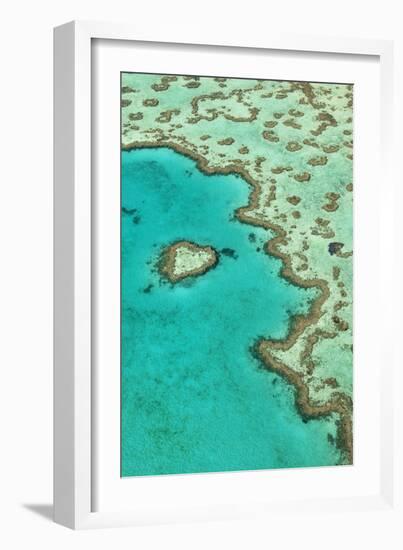 Heart Reef II-Larry Malvin-Framed Photographic Print