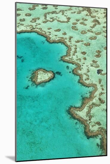 Heart Reef II-Larry Malvin-Mounted Photographic Print
