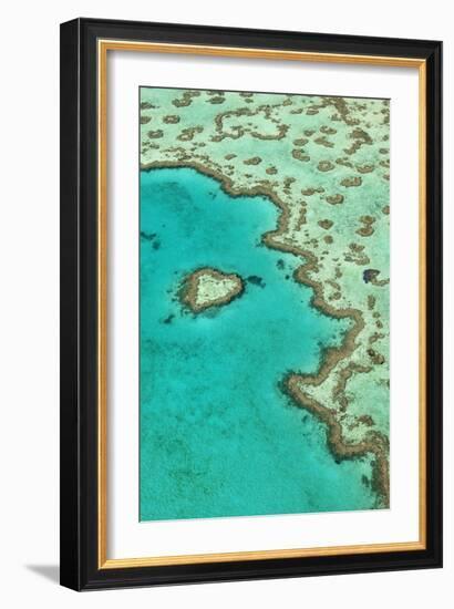 Heart Reef II-Larry Malvin-Framed Photographic Print