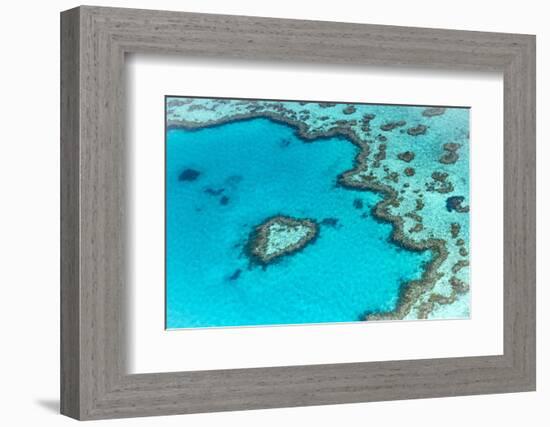 Heart reef in the Great Barrier Reef from above, Queensland, Australia.-Francesco Riccardo Iacomino-Framed Photographic Print