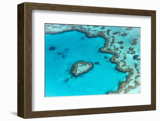 Heart reef in the Great Barrier Reef from above, Queensland, Australia.-Francesco Riccardo Iacomino-Framed Photographic Print