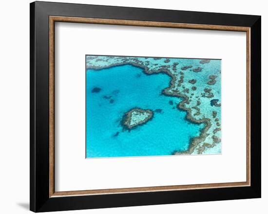 Heart reef in the Great Barrier Reef from above, Queensland, Australia.-Francesco Riccardo Iacomino-Framed Photographic Print
