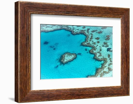 Heart reef in the Great Barrier Reef from above, Queensland, Australia.-Francesco Riccardo Iacomino-Framed Photographic Print