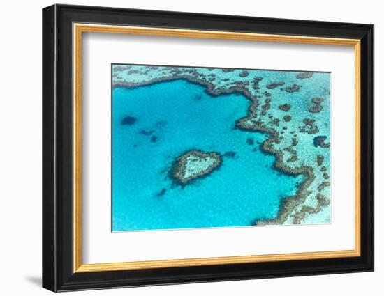 Heart reef in the Great Barrier Reef from above, Queensland, Australia.-Francesco Riccardo Iacomino-Framed Photographic Print