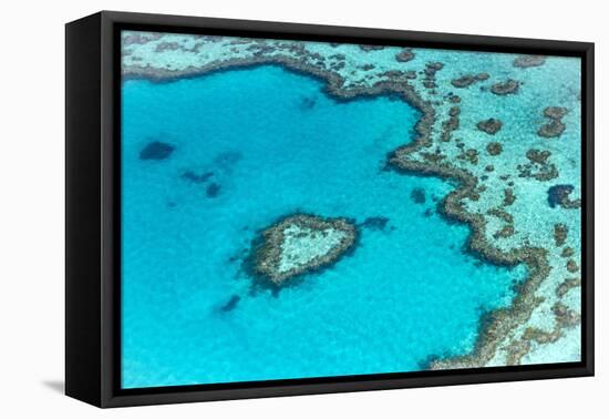 Heart reef in the Great Barrier Reef from above, Queensland, Australia.-Francesco Riccardo Iacomino-Framed Premier Image Canvas