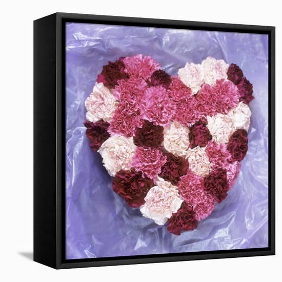 Heart Shape in Red and White Carnations-Alena Hrbkova-Framed Premier Image Canvas