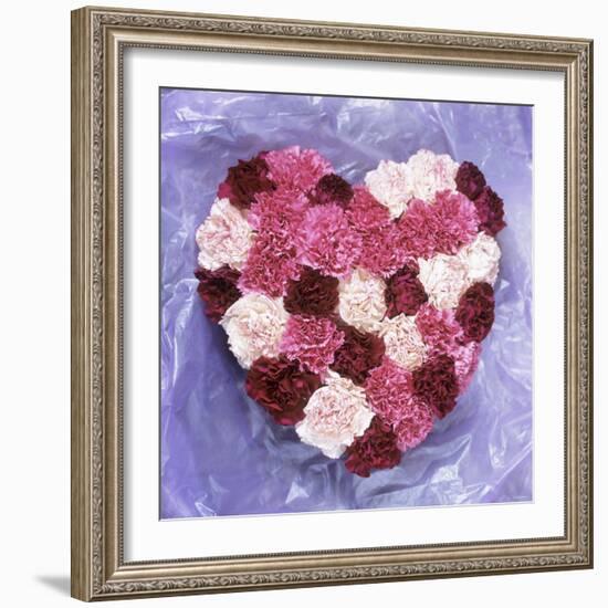 Heart Shape in Red and White Carnations-Alena Hrbkova-Framed Photographic Print