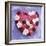 Heart Shape in Red and White Carnations-Alena Hrbkova-Framed Photographic Print