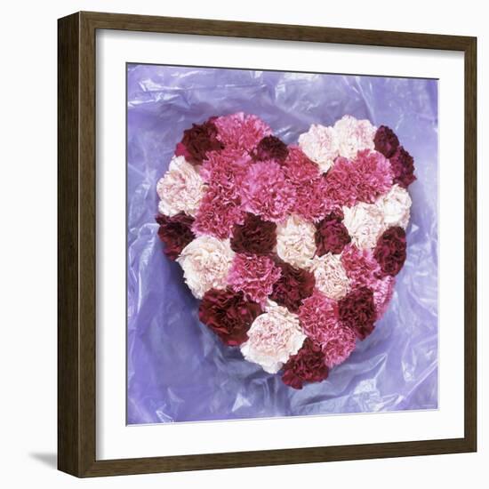 Heart Shape in Red and White Carnations-Alena Hrbkova-Framed Photographic Print