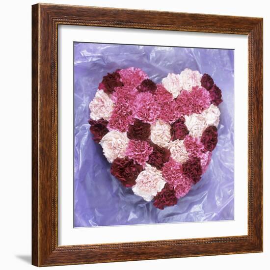 Heart Shape in Red and White Carnations-Alena Hrbkova-Framed Photographic Print