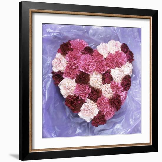 Heart Shape in Red and White Carnations-Alena Hrbkova-Framed Photographic Print