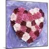 Heart Shape in Red and White Carnations-Alena Hrbkova-Mounted Photographic Print