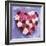 Heart Shape in Red and White Carnations-Alena Hrbkova-Framed Photographic Print