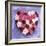 Heart Shape in Red and White Carnations-Alena Hrbkova-Framed Photographic Print