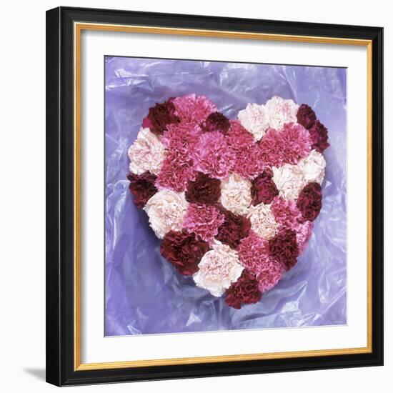 Heart Shape in Red and White Carnations-Alena Hrbkova-Framed Photographic Print