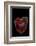 Heart Shaped Banded Agate, Quartzsite, AZ-Darrell Gulin-Framed Photographic Print