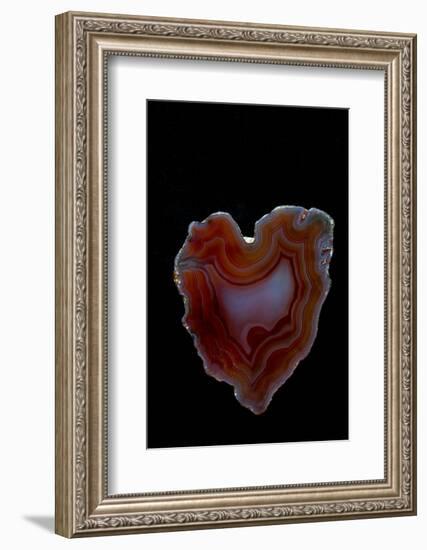 Heart Shaped Banded Agate, Quartzsite, AZ-Darrell Gulin-Framed Photographic Print