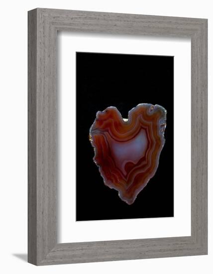 Heart Shaped Banded Agate, Quartzsite, AZ-Darrell Gulin-Framed Photographic Print