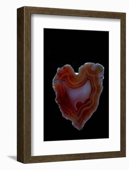 Heart Shaped Banded Agate, Quartzsite, AZ-Darrell Gulin-Framed Photographic Print