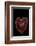 Heart Shaped Banded Agate, Quartzsite, AZ-Darrell Gulin-Framed Photographic Print