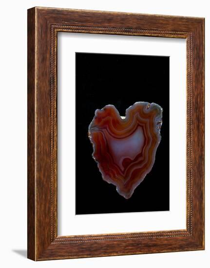 Heart Shaped Banded Agate, Quartzsite, AZ-Darrell Gulin-Framed Photographic Print