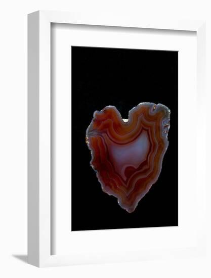 Heart Shaped Banded Agate, Quartzsite, AZ-Darrell Gulin-Framed Photographic Print