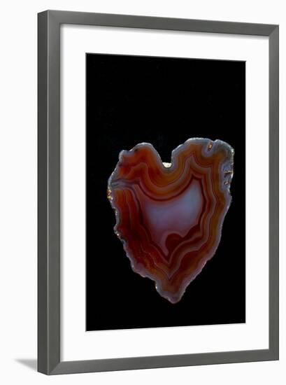 Heart Shaped Banded Agate, Quartzsite, AZ-Darrell Gulin-Framed Premium Photographic Print