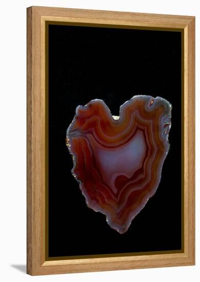 Heart Shaped Banded Agate, Quartzsite, AZ-Darrell Gulin-Framed Premier Image Canvas