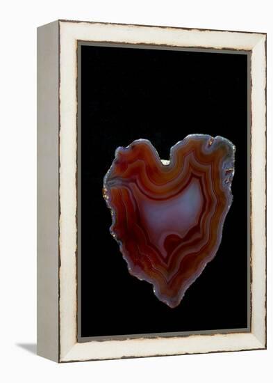 Heart Shaped Banded Agate, Quartzsite, AZ-Darrell Gulin-Framed Premier Image Canvas