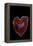 Heart Shaped Banded Agate, Quartzsite, AZ-Darrell Gulin-Framed Premier Image Canvas