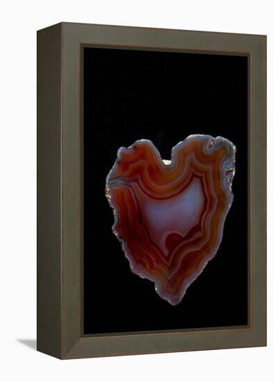 Heart Shaped Banded Agate, Quartzsite, AZ-Darrell Gulin-Framed Premier Image Canvas