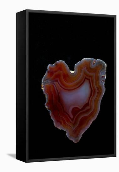 Heart Shaped Banded Agate, Quartzsite, AZ-Darrell Gulin-Framed Premier Image Canvas