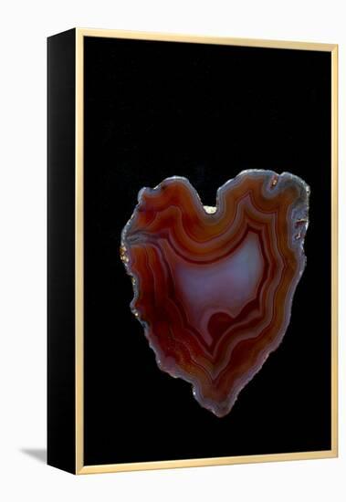 Heart Shaped Banded Agate, Quartzsite, AZ-Darrell Gulin-Framed Premier Image Canvas