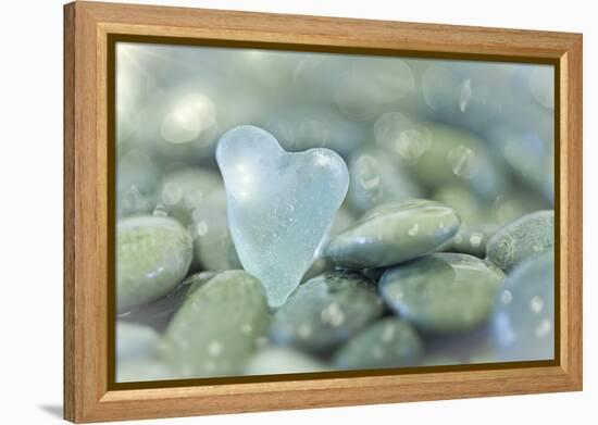 Heart-Shaped Beach Glass and Wet Rocks, Seabeck, Washington, USA-Jaynes Gallery-Framed Premier Image Canvas