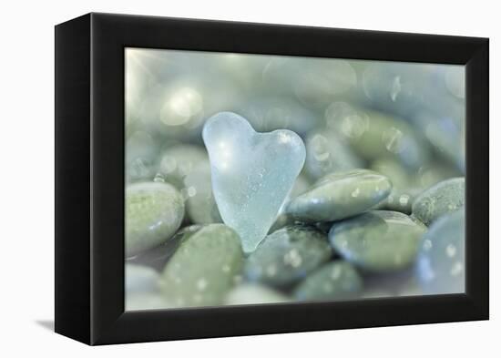 Heart-Shaped Beach Glass and Wet Rocks, Seabeck, Washington, USA-Jaynes Gallery-Framed Premier Image Canvas