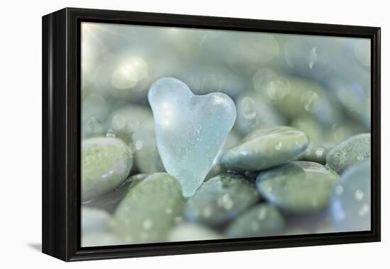 Heart-Shaped Beach Glass and Wet Rocks, Seabeck, Washington, USA-Jaynes Gallery-Framed Premier Image Canvas