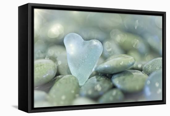 Heart-Shaped Beach Glass and Wet Rocks, Seabeck, Washington, USA-Jaynes Gallery-Framed Premier Image Canvas