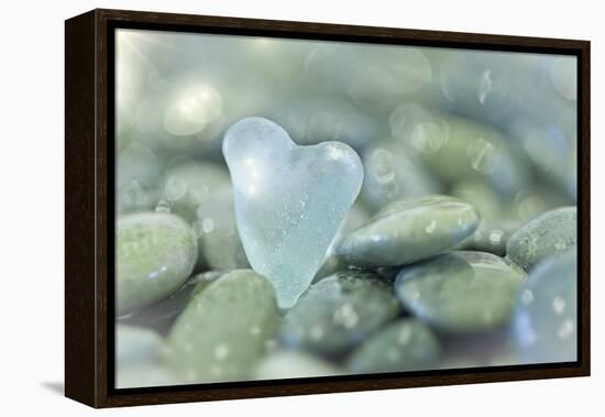 Heart-Shaped Beach Glass and Wet Rocks, Seabeck, Washington, USA-Jaynes Gallery-Framed Premier Image Canvas