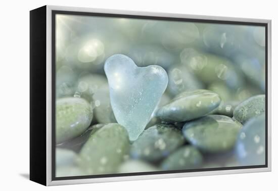 Heart-Shaped Beach Glass and Wet Rocks, Seabeck, Washington, USA-Jaynes Gallery-Framed Premier Image Canvas