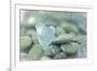 Heart-Shaped Beach Glass and Wet Rocks, Seabeck, Washington, USA-Jaynes Gallery-Framed Photographic Print