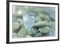 Heart-Shaped Beach Glass and Wet Rocks, Seabeck, Washington, USA-Jaynes Gallery-Framed Photographic Print