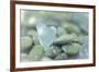 Heart-Shaped Beach Glass and Wet Rocks, Seabeck, Washington, USA-Jaynes Gallery-Framed Photographic Print