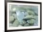 Heart-Shaped Beach Glass and Wet Rocks, Seabeck, Washington, USA-Jaynes Gallery-Framed Photographic Print