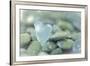 Heart-Shaped Beach Glass and Wet Rocks, Seabeck, Washington, USA-Jaynes Gallery-Framed Photographic Print