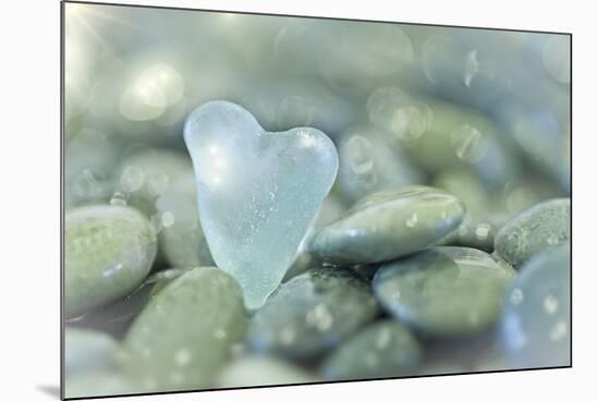 Heart-Shaped Beach Glass and Wet Rocks, Seabeck, Washington, USA-Jaynes Gallery-Mounted Photographic Print