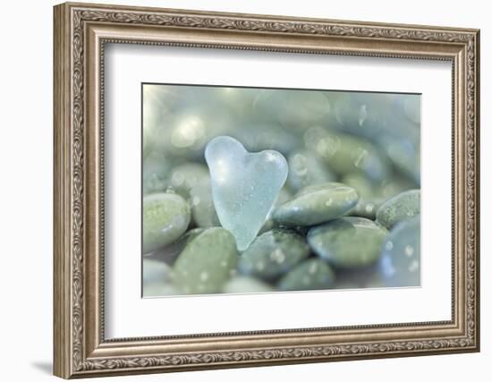 Heart-Shaped Beach Glass and Wet Rocks, Seabeck, Washington, USA-Jaynes Gallery-Framed Photographic Print