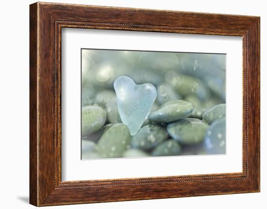 Heart-Shaped Beach Glass and Wet Rocks, Seabeck, Washington, USA-Jaynes Gallery-Framed Photographic Print