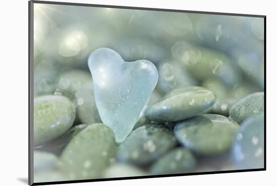 Heart-Shaped Beach Glass and Wet Rocks, Seabeck, Washington, USA-Jaynes Gallery-Mounted Photographic Print