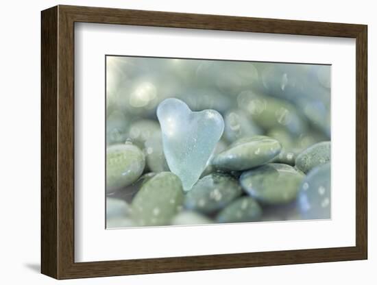 Heart-Shaped Beach Glass and Wet Rocks, Seabeck, Washington, USA-Jaynes Gallery-Framed Premium Photographic Print