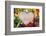 Heart Shaped Food-Romario Ien-Framed Photographic Print